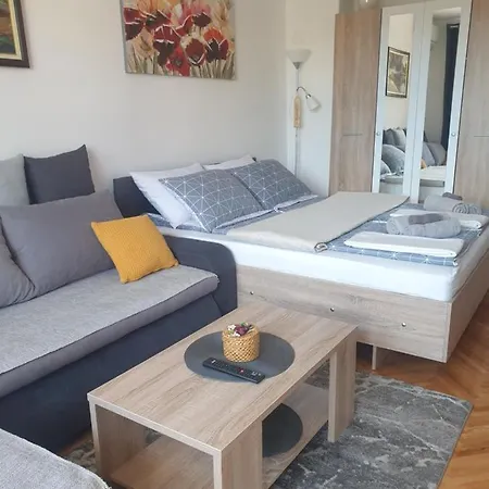 Apartman Despot Ni