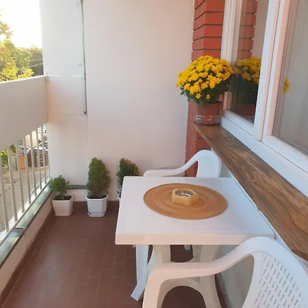 Despot アパート *