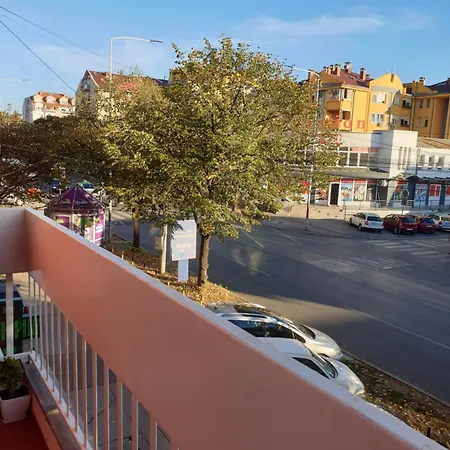 Apartman Despot *