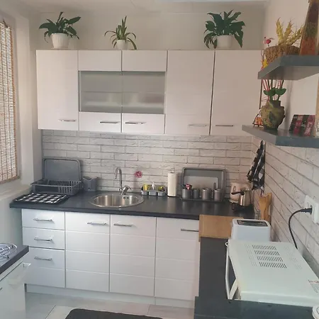 Apartament Despot *